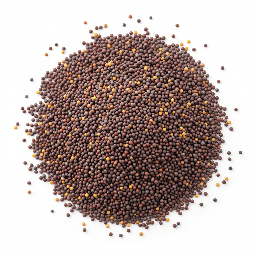 Mustard Seed(तोरीको दाना)
