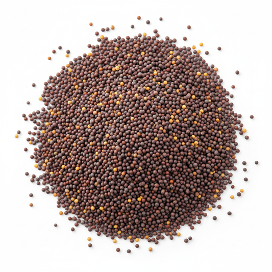 Mustard Seed(तोरीको दाना)